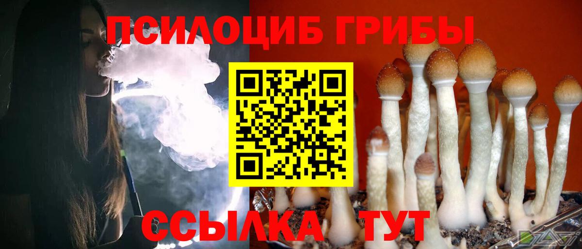 Жигулёвск  Псилоцибиновые грибы мицелий  Вход с VPN 